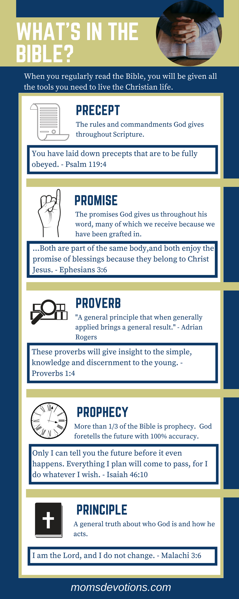 What's in the Bible?